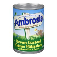 Save On Ambrosia - Devon Custard, 400 Gram