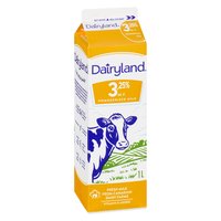 Save On Dairyland - Homo Milk 3.25%, 1 Litre